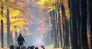 7 nápadov na podnikanie s minimálnymi nákladmi 7 nápadov na podnikanie s minimálnymi nákladmi