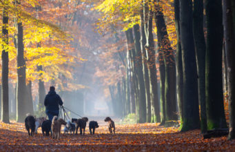 7 nápadov na podnikanie s minimálnymi nákladmi 7 nápadov na podnikanie s minimálnymi nákladmi