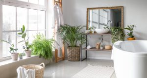 Farby v interiéri – nápady a tipy pre modernú domácnosť Farby v interiéri – nápady a tipy pre modernú domácnosť