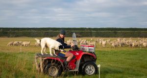 Vlastníte veľký pozemok? Zíde sa vám pomocník v podobe štvorkolky Vlastníte veľký pozemok? Zíde sa vám pomocník v podobe štvorkolky