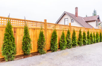 Prečo je dôležité oplotenie pozemku a domu? Prečo je dôležité oplotenie pozemku a domu?